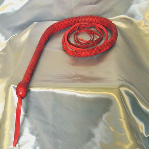 Bullwhip